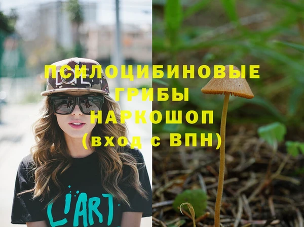 прущие крисы Алексеевка